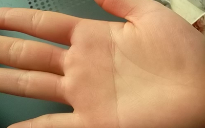 分析假斷掌的女人是否旺夫