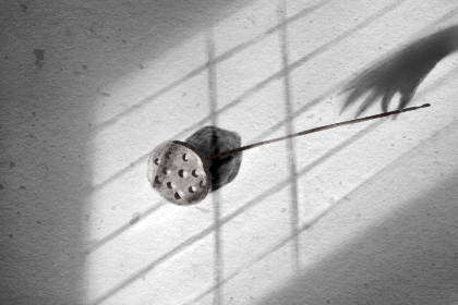 白蠟金命人有懸膽鼻運勢如何