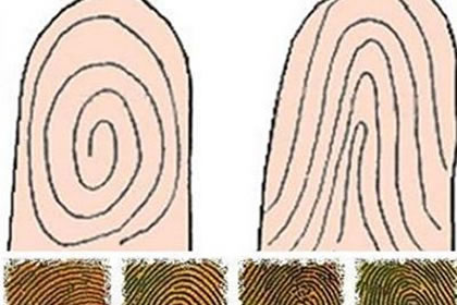 解析指紋上有八個斗的男人感情狀況