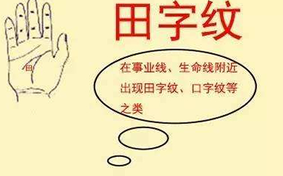 事業線附近有田字紋是啥意思？