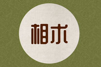 如何透過眉毛看人