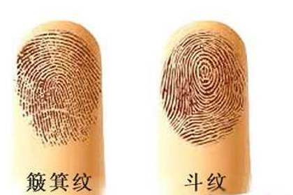 男人的指紋上只有一個鬥是窮苦命嗎