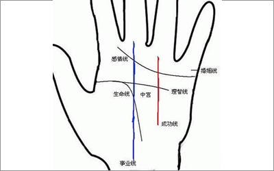 關於成功線你不知道的寓意