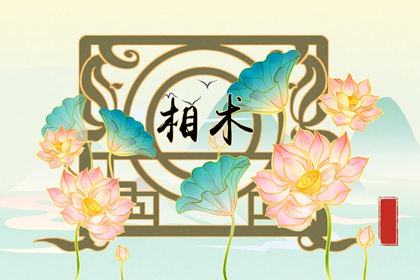 最旺夫的眉型