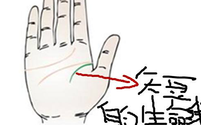 生命線短壽命就短這個說法對嗎