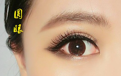分析圓眼和狐狸眼的眼型