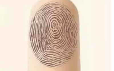 指紋有鬥如何看是否富貴命？