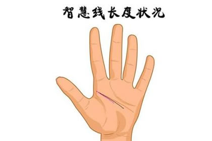 分析智慧線很長究竟蘊含著什麼