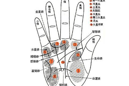 事業紋呈波浪線的人事業運如何