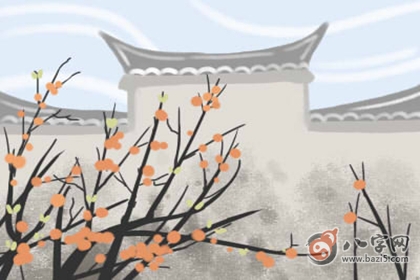 吊眼面相分析