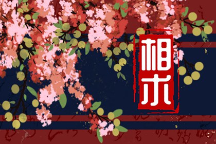 下巴凹進去一個窩面相