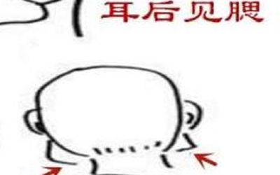 耳後見腮的人可不可交?