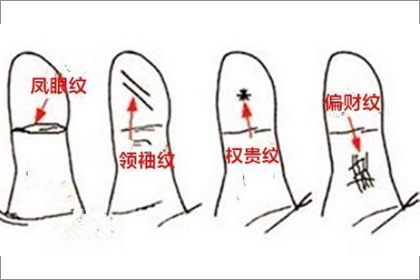 教你分辨鳳眼紋和夫子眼的區別