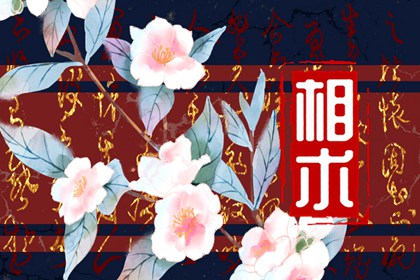 鼻翼左邊有痣面相圖解 怎么看鼻翼有痣的面相