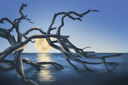 眼睛大大的男人桃花運超級好？