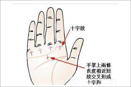 口字紋和十字紋哪種紋路財運更好