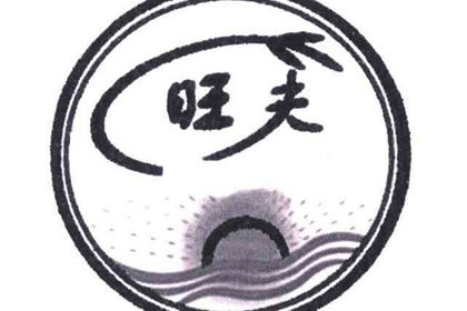 旺夫的女人誰不愛