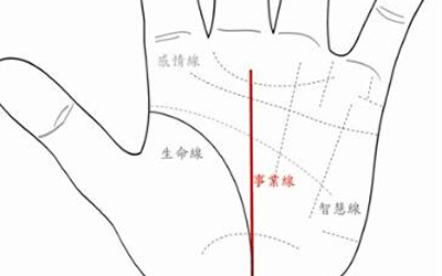 揭曉事業線成功線都有的人