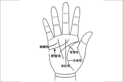 財富紋和十字紋哪種紋路命更好
