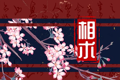 面相如何看桃花運好壞