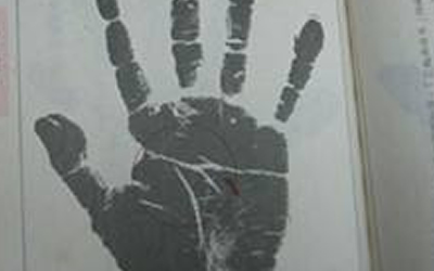 分析假斷掌的女人是否旺夫