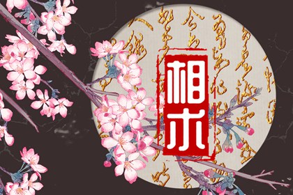 什么樣的鼻子是蒜頭鼻