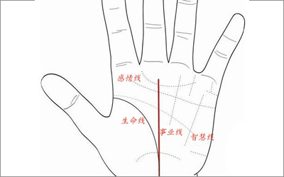 事業線附近有田字紋是啥意思？