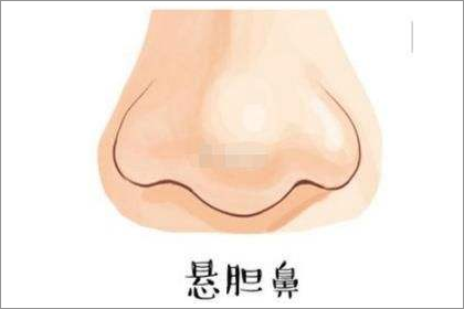 從鼻子怎麼看出一個人命運好不好