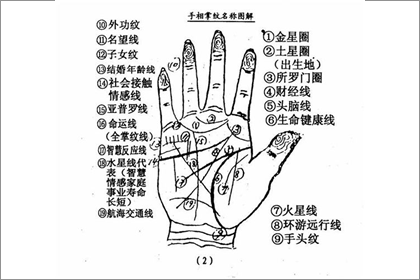 十字紋和井字紋哪種紋路命更好