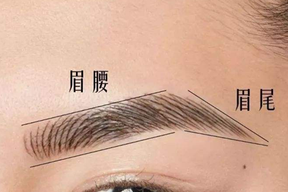 解讀劍眉和掃把眉的區別